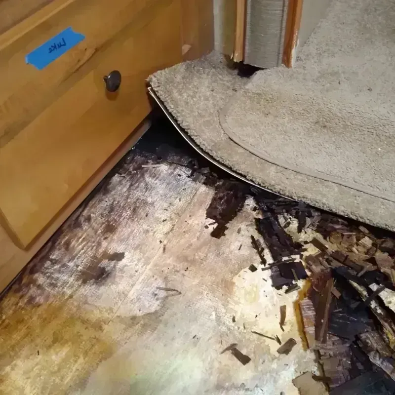 Best Wood Floor Water Damage Service in Helena, MS